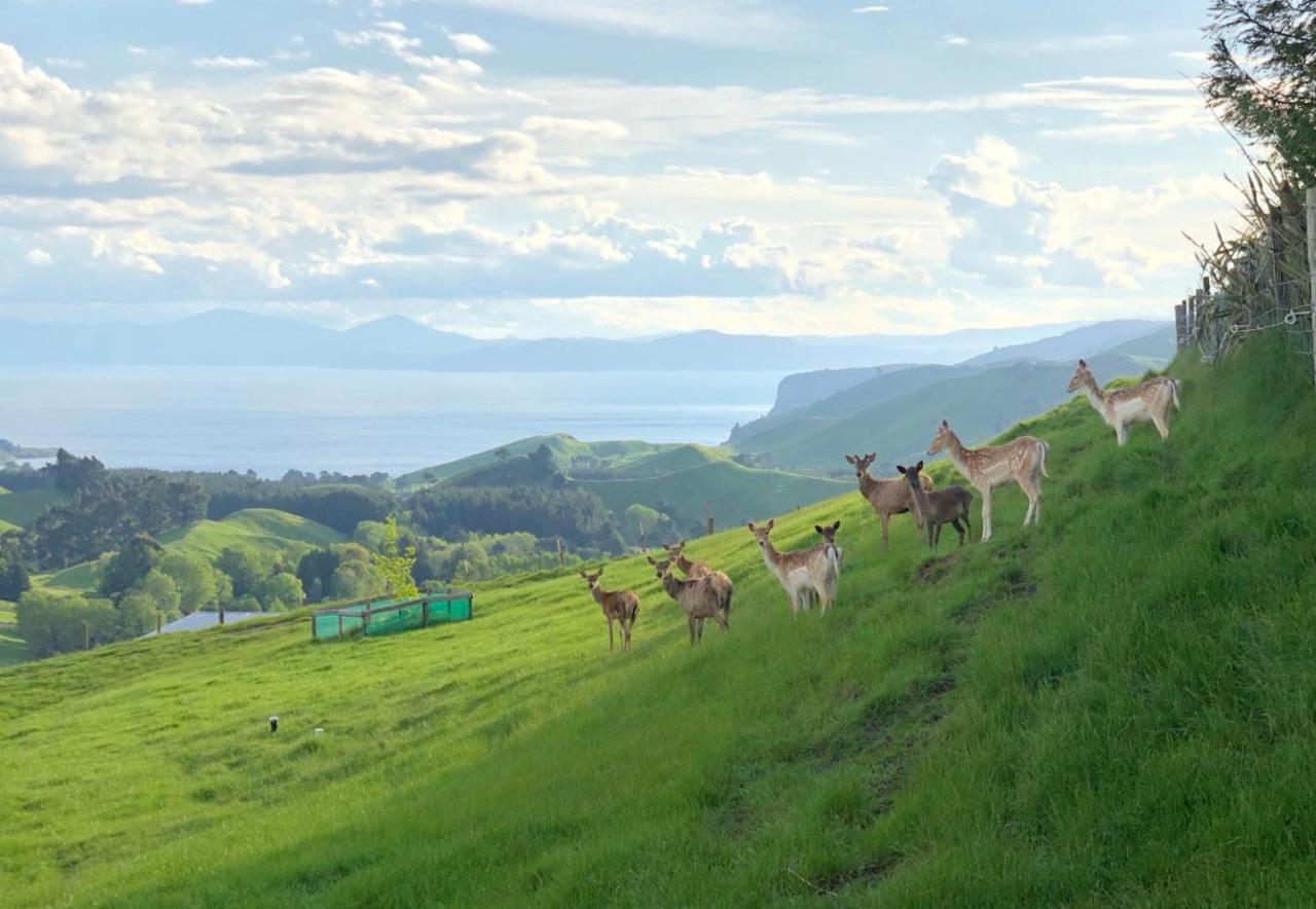 Hilltop Whakaipo Estate Lago Lago Taupo Esterno foto