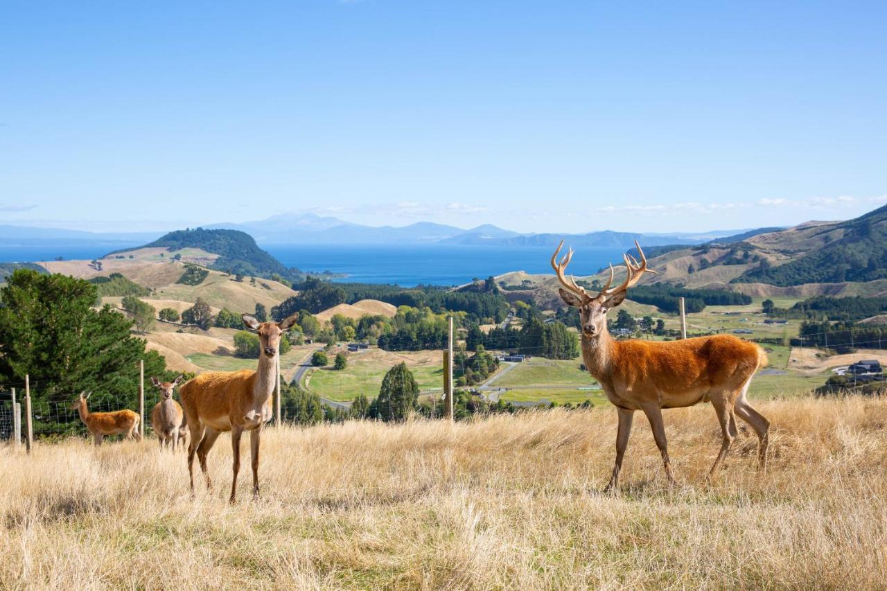 Hilltop Whakaipo Estate Lago Lago Taupo Esterno foto