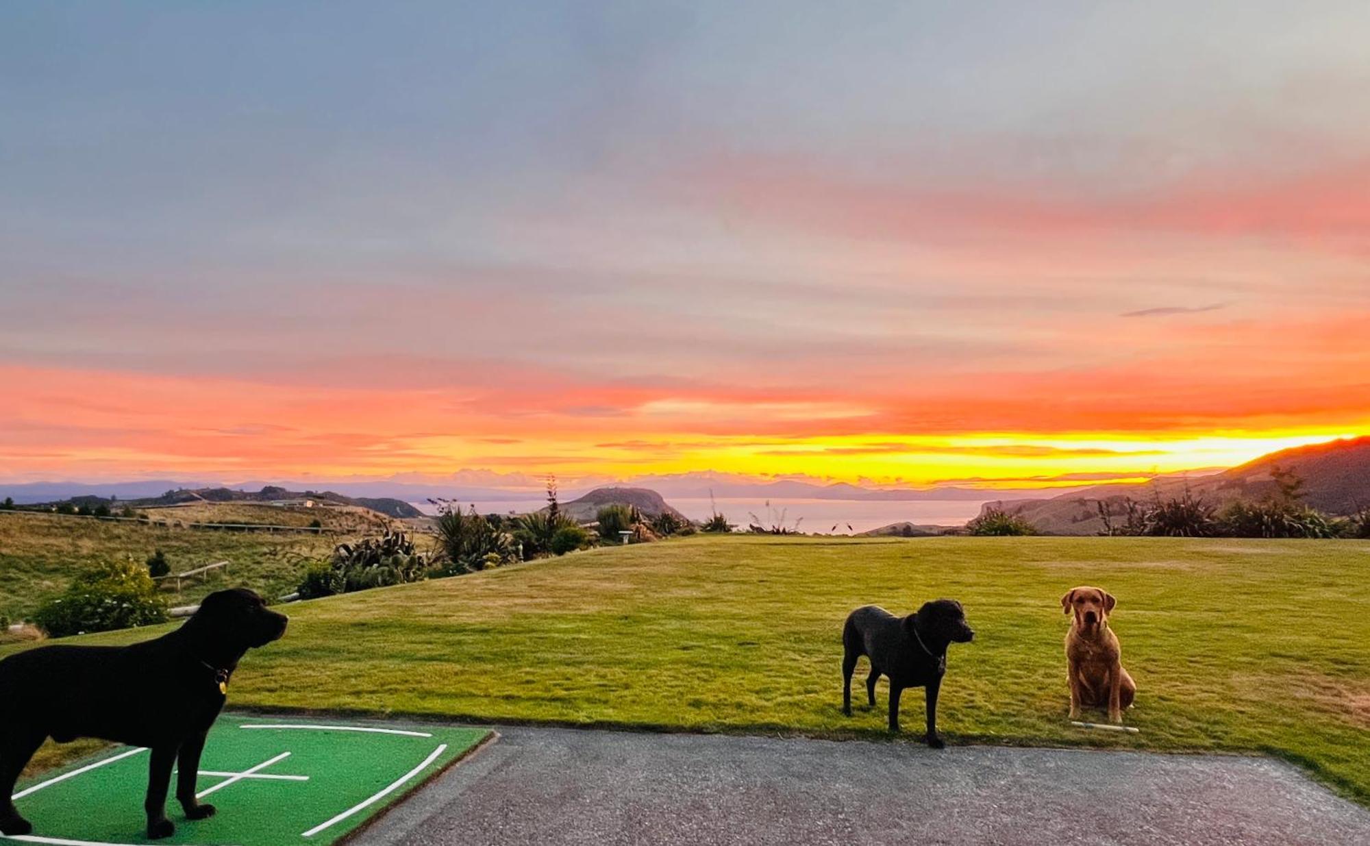 Hilltop Whakaipo Estate Lago Lago Taupo Esterno foto