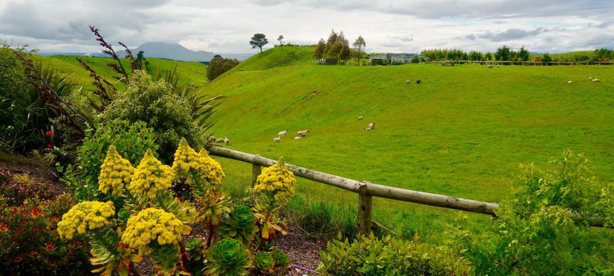 Hilltop Whakaipo Estate Lago Lago Taupo Esterno foto