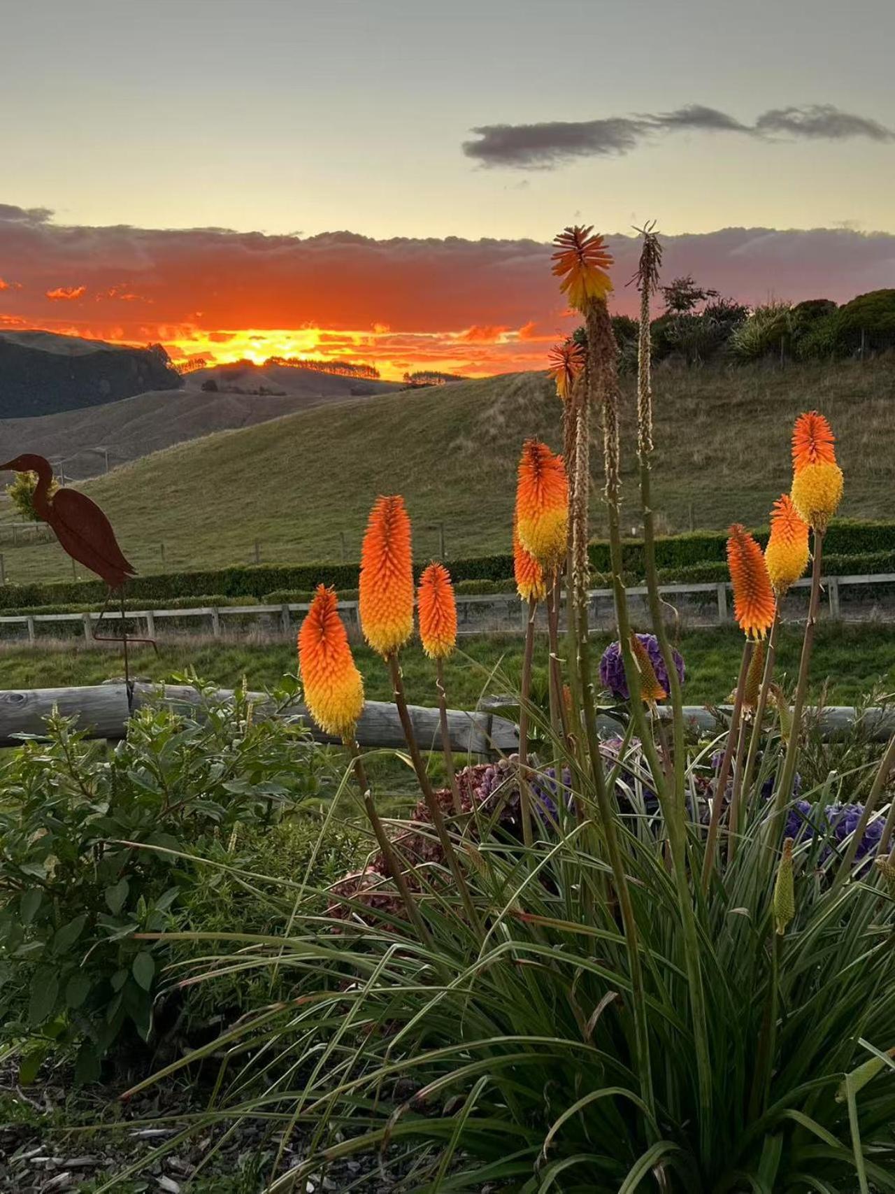 Hilltop Whakaipo Estate Lago Lago Taupo Esterno foto